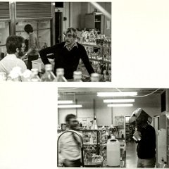 1979-11-Microbiologie-RUG-Haren