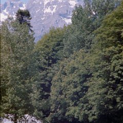 1980-06-07-Frankrijk