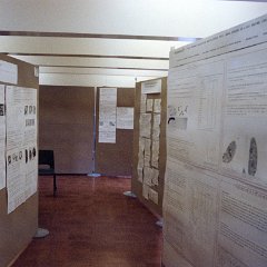 1980-08-Piet-Sheffield