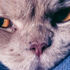 1985-12-25-Apeldoorn