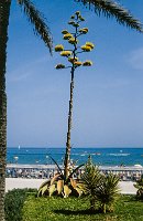 Frankrijk_Spanje_1987_082