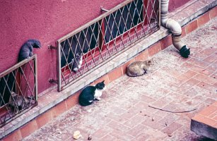 Spanje_Portugal_1988_182