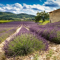 1992-06-09-24-Drôme