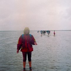 1993-09-25-DMV-wadlopen