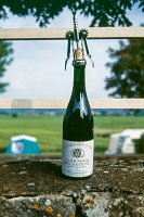 Cevennes_Drome_6-21jun1995_016