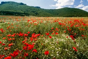 Cevennes_Drome_6-21jun1995_045