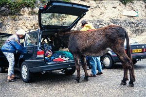 Cevennes_Drome_6-21jun1995_081
