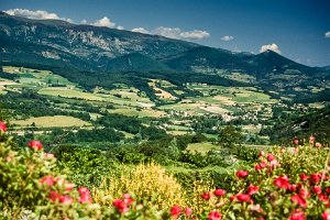 Cevennes_Drome_6-21jun1995_161