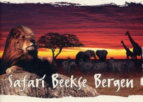 Beekse Bergen folder