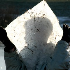 2003-01-Maas-hoogwater-sneeuw-ijs