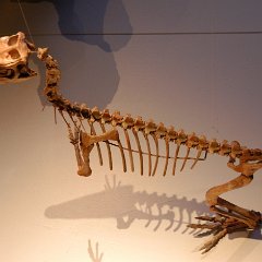 2003-03-06-Leiden+Katwijk