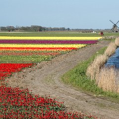 2003-04-29-Valkkoog