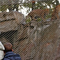 2003-10-26-BurgersZoo-Arnhem
