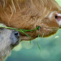 2-Wayford [Somerset]