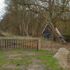 2006-04-Groningen-voorbereiding-50jaarhuwelijk