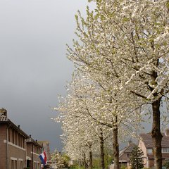 2006-Thuis-Voorjaar