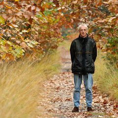 2008-10-26-Maashorst-Schaijk