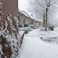 2009-01-0811-Winter-in-en-rond-Oss