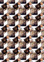 Mark and Sarah gift paper