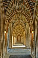 11PRL_2434-5-6-7mean