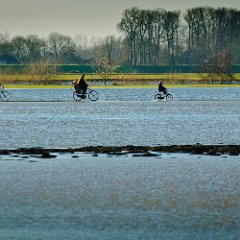 Hoogwater_Maas_Macharen_16jan2011