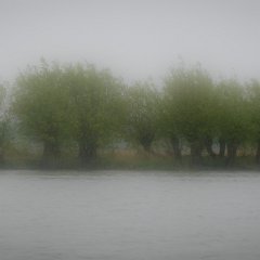Biesbosch_02mei2012