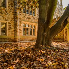 Durham-NC-USA_mei2012