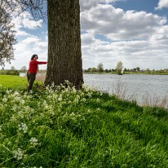 Langs de Maas_Oijen_9mei2013