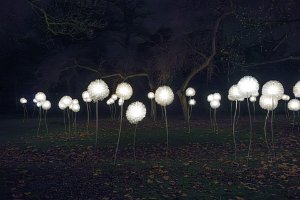 15DSC00283-Enhanced-NR