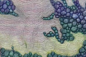 16IMG_20160901_135442