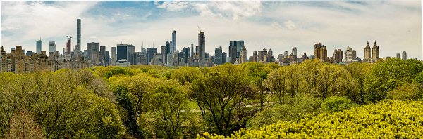 Central Park Panorama