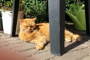 18IMG_20180707_101956