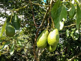 18IMG_20180402_143318