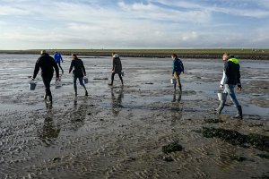 18IMG_20181009_164203