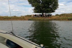 18IMG_20180730_155403