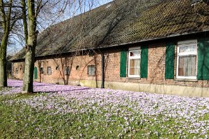 19IMG_20190217_121528