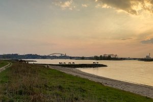 19IMG_20190407_193459