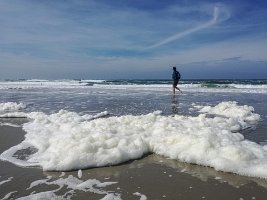 19IMG_20190531_153618