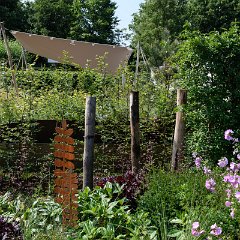 Tuinen_Appeltern_22jun2019