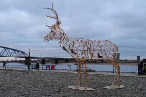 20IMG_20201214_151539