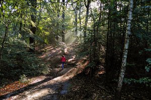 20IMG_20201011_111541