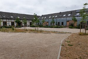 20IMG-20200604-WA0003