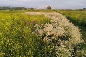 20IMG_20200703_063223