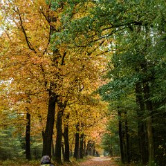 Hoge Veluwe_25+26okt2020