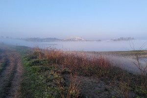 21IMG_20210420_073741