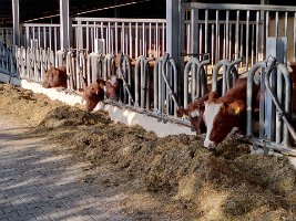 21IMG_20211104_140634-2