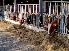 21IMG_20211104_140634