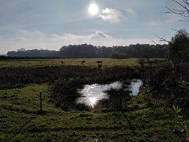 21IMG_20211104_142050