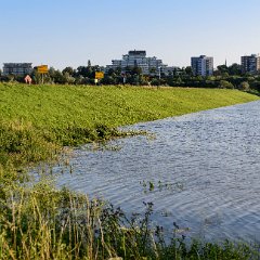 Hoogwater-Waal-Nijmegen_jul2021