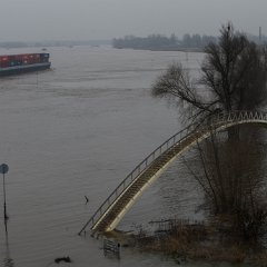 Hoogwater-Waal-Ooypolder-Nijmegen_feb2021